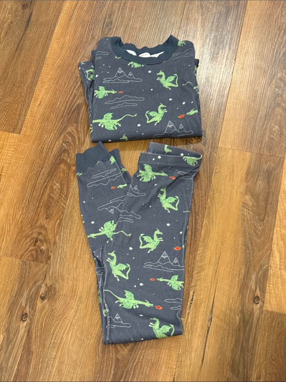 Hanna Andersson Navy Blue Pajama Set with Green Dragon Print